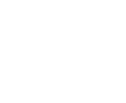 Evolution games at Lotta Bet Casino